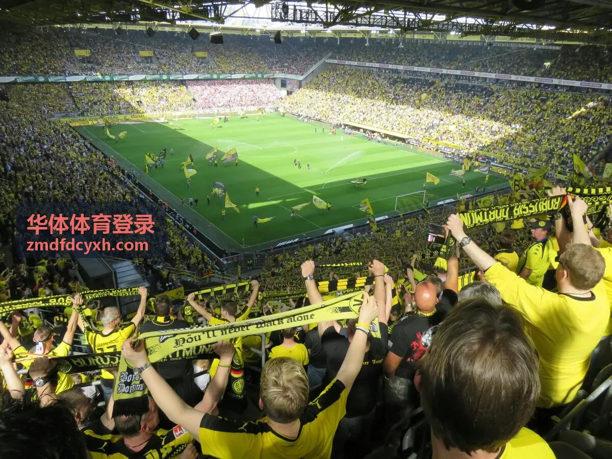 华体体育登录手机验证码登录步骤示意图